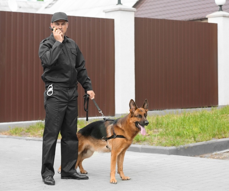 Residential Security